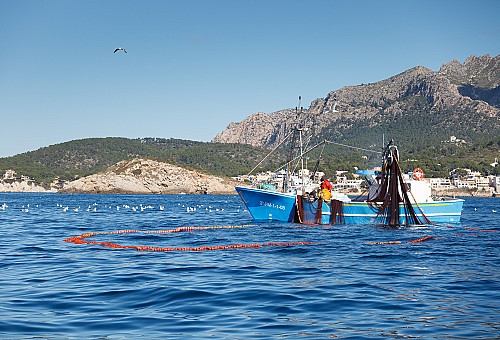 Marilles Fundation - Impulsamos la pesca sostenible y el consumo local