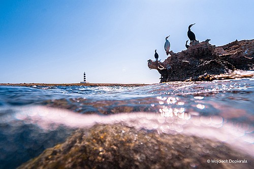 Marilles Fundation - Governança participativa a la reserva marina de l'Illa de l'Aire
