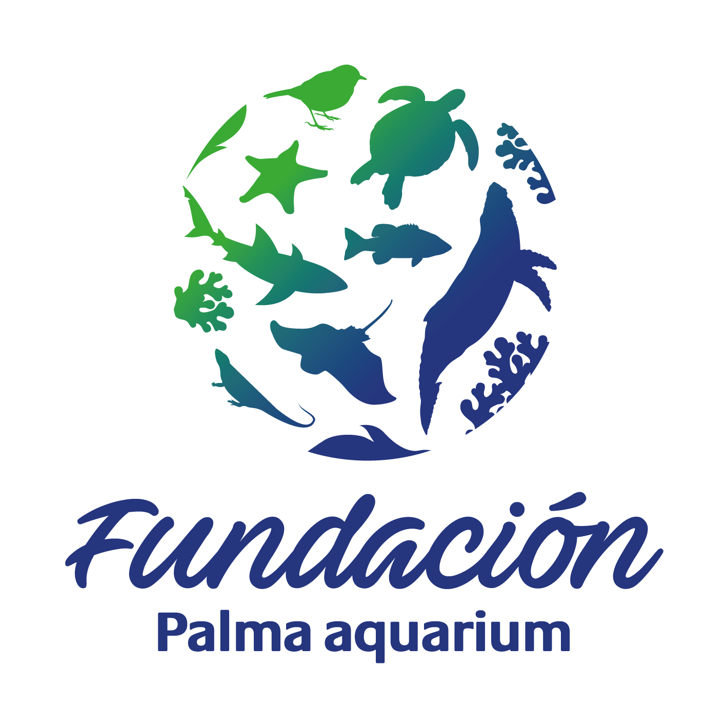 Marilles Foundation - Collaborators