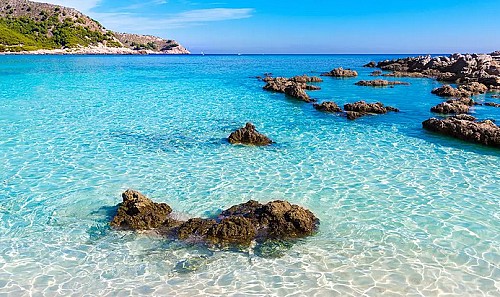 Marilles Fundation - Fundación Marilles propone ampliar la protección de zonas marinas para conservar corales y gorgonias en Baleares