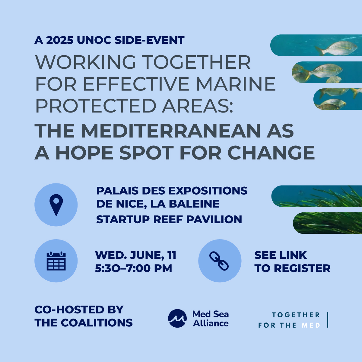 UNOC 2025: An opportunity for the Balearic Sea