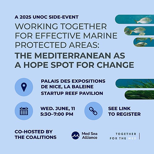 UNOC 2025: Una oportunidad para el mar Balear