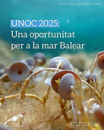 Marilles Fundation - Marilles i la mar Balear a la  UNOC