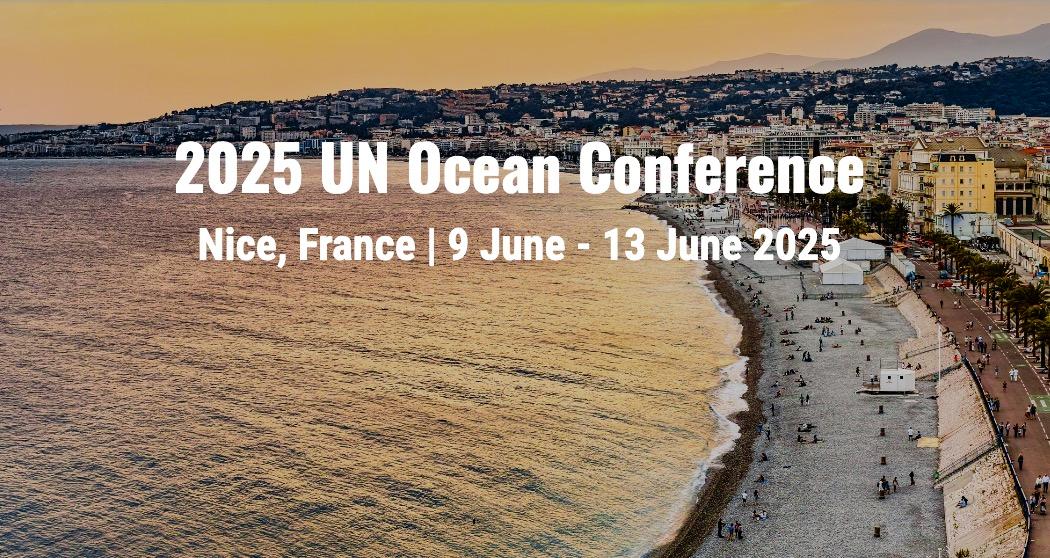 Más de 70 ONG mediterráneas piden que se proteja el 30 % del mar y que el 10 % sea zona estrictamente protegida a nivel regional para 2030, en la Conferencia de las Naciones Unidas sobre los Océanos