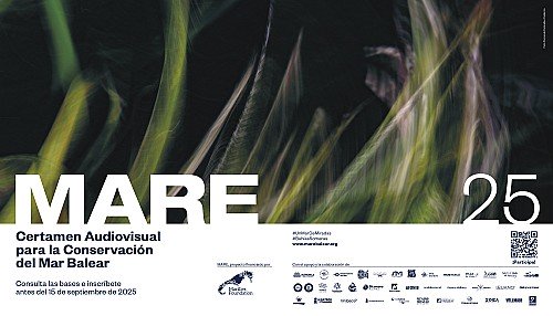 Marilles Fundation - "From focus to action": MARE grows and establishes itself as a marine conservation project