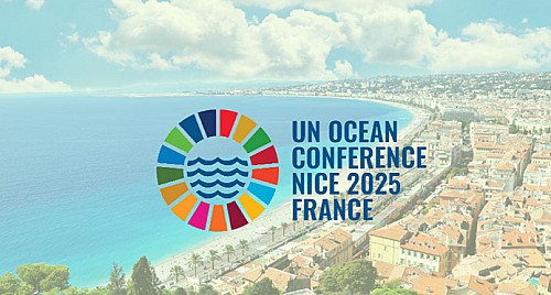 Marilles Fundation - Niça: un altaveu per als oceans i per a la mar Balear