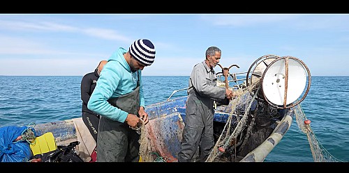 Sabies que les Balears han estat al centre del debat global pels oceans?