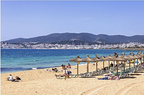 Marilles Fundation - Beach evacuated in popular holiday hotspot after mystery fish 'attacks tourist