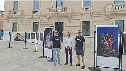 Marilles Fundation - 'La veu de la mar', una exposició sobre la bellesa de la Mediterrània i la seva fragilitat