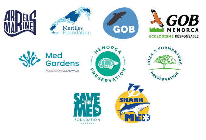 Nine conservation organisations call on the regional government to guarantee transparency and participation in the development of management plans for marine protected areas