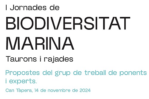Tiburones y rayas. Propuestas del grupo de trabajo de las I Jornadas de Biodiversidad Marina (2024)
