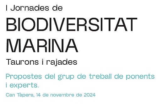 Tiburones y rayas. Propuestas del grupo de trabajo de las I Jornadas de Biodiversidad Marina (2024)
