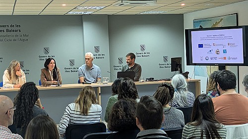 Resultados del estudio sobre tiburones y rayas en el Parque Nacional de Cabrera
