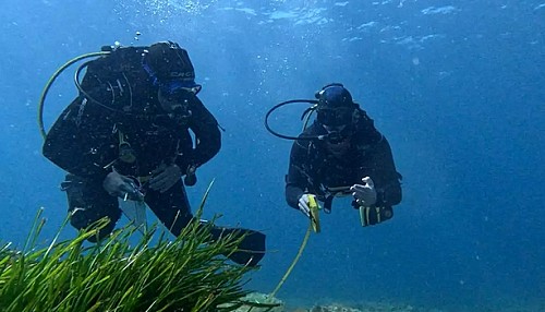Marilles Fundation - A la mar Balear, volem pa amb oli