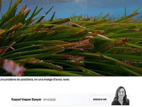 Marilles Fundation - Cinc anys de l''Informe Mar Balear": la força del coneixement compartit