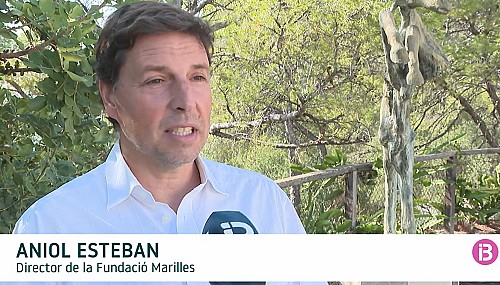 Marilles Fundation - La comunitat científica demana “zones lliures de pesca, espais protegits estrictament”