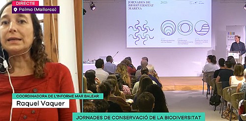 Marilles Fundation - Experts posen en comú la necessitat de millorar la qualitat de l'aigua de la mar