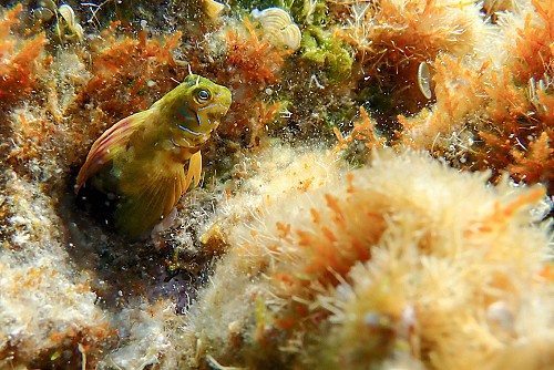 Marilles Fundation - Ein bewegter Herbst zwischen Hoffnung und Sorge