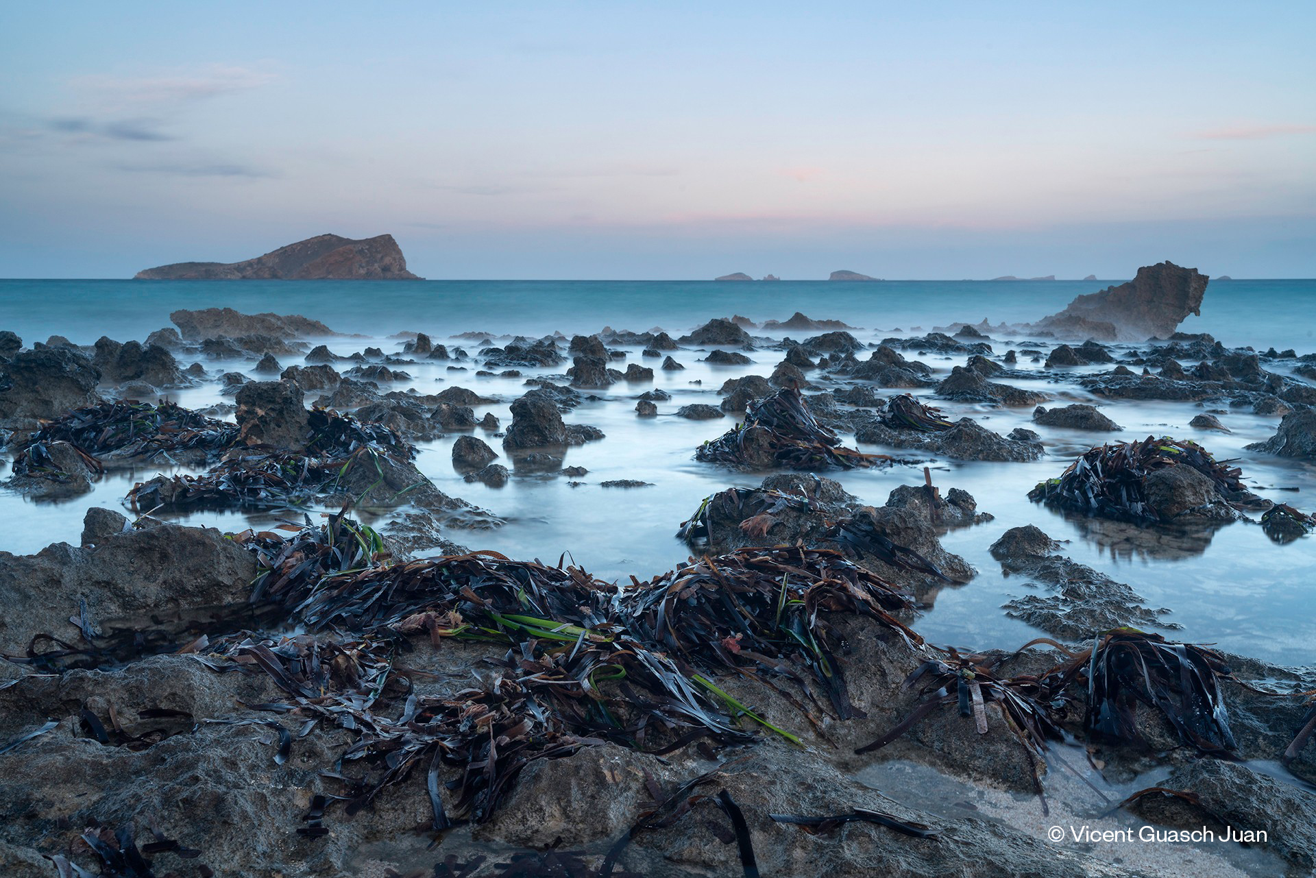 The Marine Conservation Plan: A roadmap for the Balearic Sea that must be backed by funding and ambition