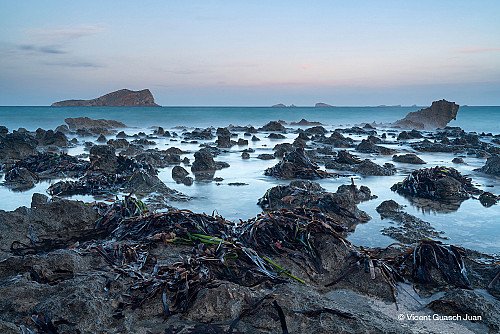Marilles Fundation - El Plan de Conservación Marina: una hoja de ruta para el mar Balear que debe dotarse de presupuesto y ambición
