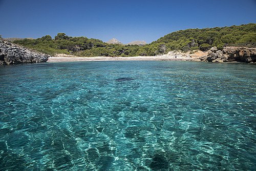 Nace la Alianza por la Restauración de la Naturaleza en España para situar la recuperación ecológica en el centro de la agenda pública