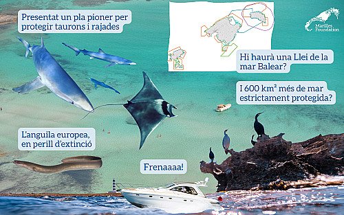 Marilles Fundation - Increíble pero cierto