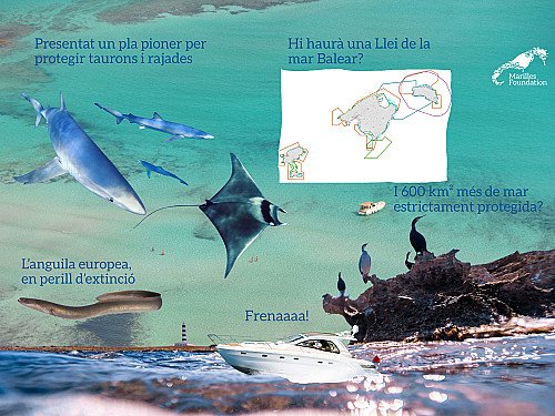 Marilles Fundation - Increíble pero cierto