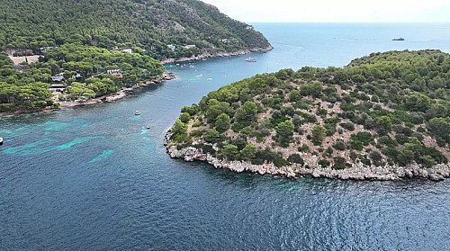 Marilles Fundation - Fundación Marilles cuestiona la ejecución del plan de conservación marina al no tener presupuesto