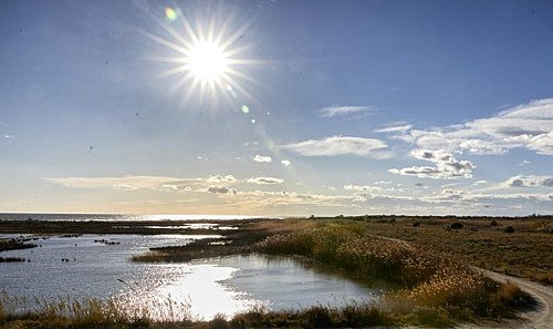 Marilles Fundation - Una alianza de 30 entidades cívicas reclama el plan para restaurar la naturaleza al Gobierno