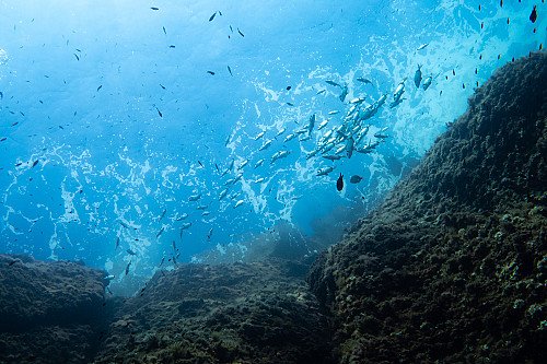 Marilles Fundation - MPAs and conservation of habitats and species