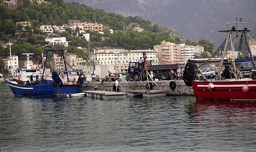 Marilles Fundation - Piden al Gobierno la declaración como reserva marina de interés pesquero la zona de Tramuntana