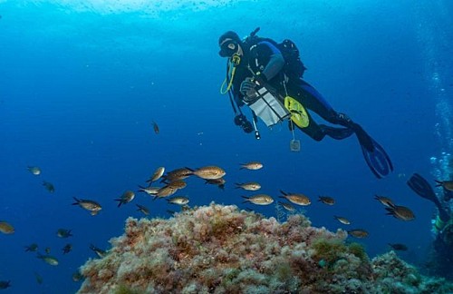 Marilles Fundation - ONG y científicos reclaman al MAPA financiación y medidas de gestión pesquera para la conservación de espacios marinos protegidos