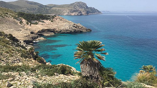 Marilles Fundation - Marilles pide financiación inmediata para el Plan de Conservación Marina