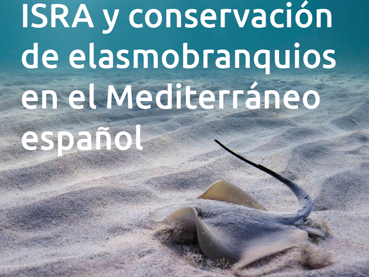 Experts en taurons i rajades proposen la protecció de zones d'especial rellevància per a aquestes espècies&nbsp;&nbsp;