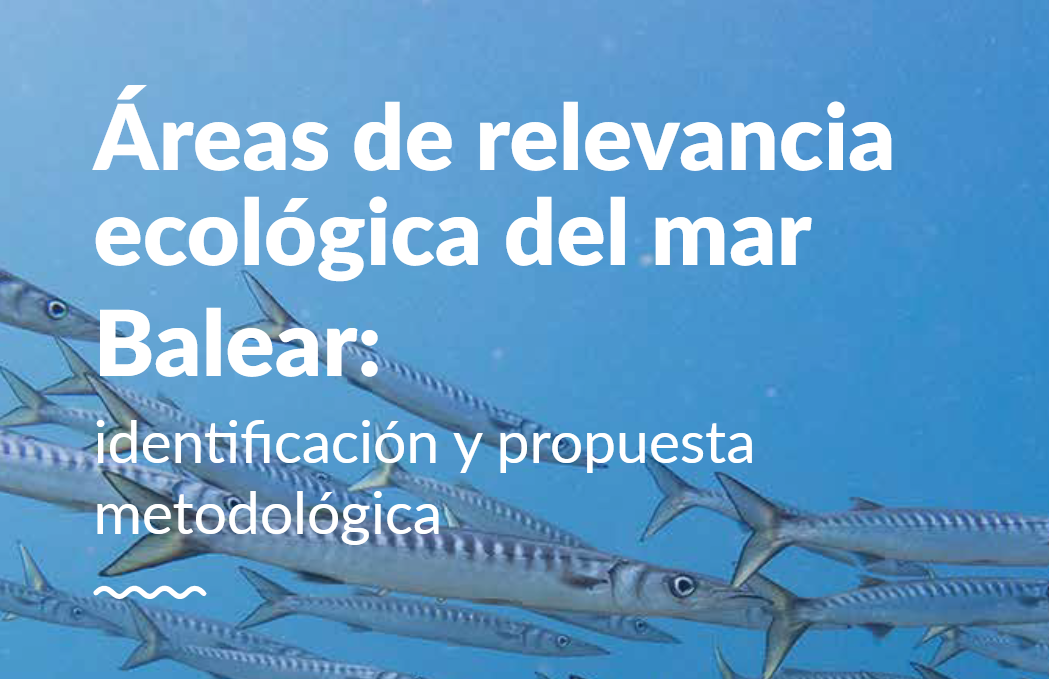 Areas of ecological relevance in the Balearic Sea
