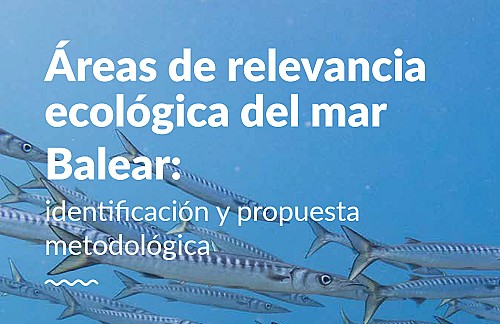 Areas of ecological relevance in the Balearic Sea
