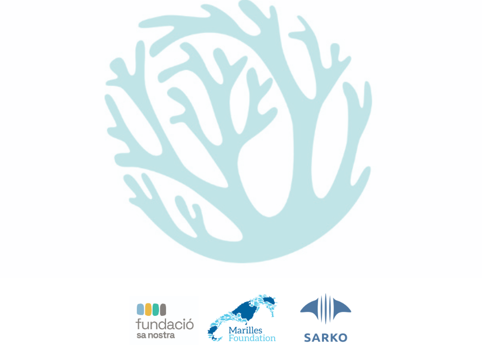 Sharks and rays. Proposals from the working group of the 1st Marine Biodiversity Workshop (2024)