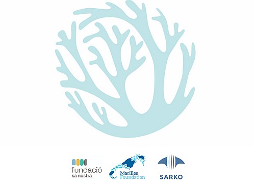 Sharks and rays. Proposals from the working group of the 1st Marine Biodiversity Workshop (2024)
