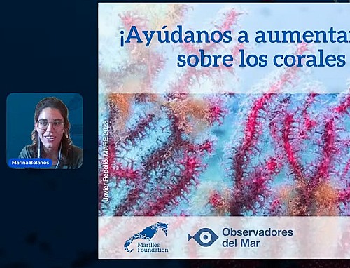 Marilles Fundation - Tú también puedes colaborar en el estudio de los corales del mar Balear