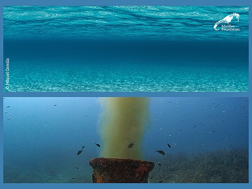 Marilles Fundation - Expertos calidad del agua piden una ley autonómica para garantizar la calidad de las aguas de Baleares