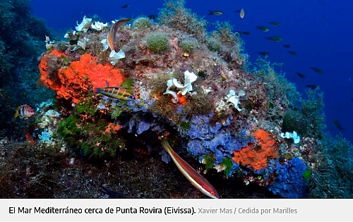 Marilles Fundation - Un mar sin memoria