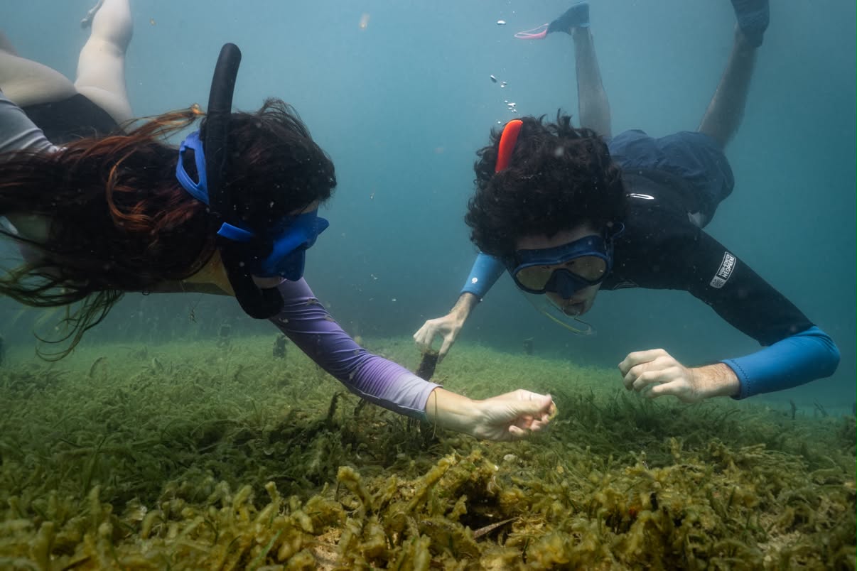 Taller para conocer la biodiversidad de Portocolom