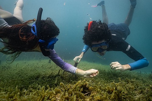 Marilles Fundation - Taller para conocer la biodiversidad de Portocolom