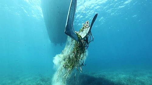 Marilles Fundation - El fondeo ilegal detectado sobre posidonia se reduce hasta el 6,4%