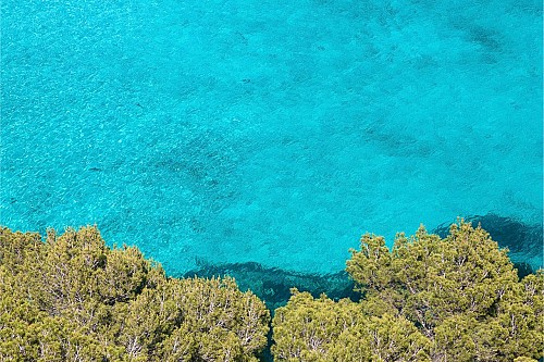 Marilles Fundation - Marilles pide restringir las nuevas autorizaciones y concesiones para la ocupación de la costa de las Illes Balears