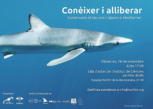Marilles Fundation - SARKO y otros proyectos de conservación de tiburones y rayas se dan cita en Barcelona